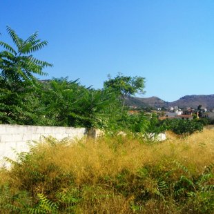 The east edge of the land for sale at Souvala Aigina Island, Greece