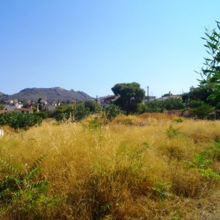 The south - west edge of the land for sale at Souvala Aigina Island, Greece