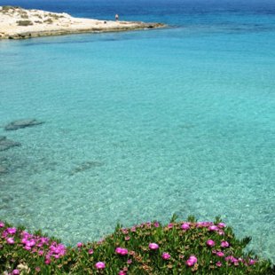 Spring! The gorgeous beach Loutra (Therma) at Souvala, Aigina island, Greece (May 2013).