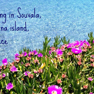 Welcome Spring! at the beach Loutra of Souvala, Aegina island, Greece