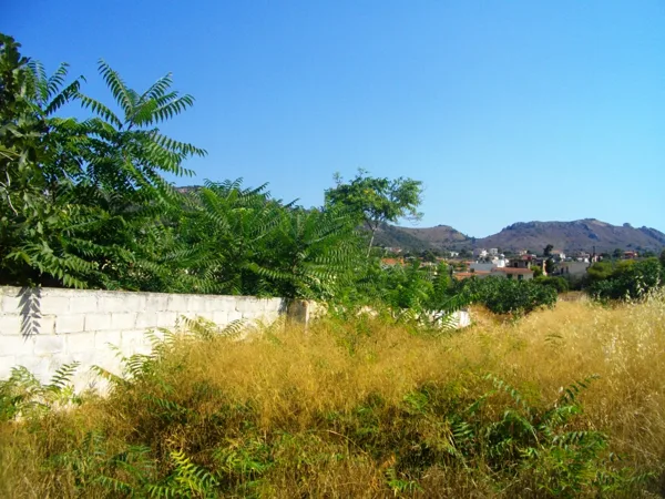The east edge of the land for sale at Souvala Aigina Island, Greece