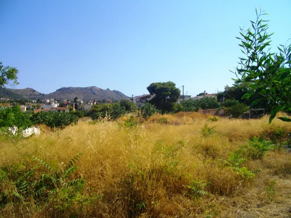 The south - west edge of the land for sale at Souvala Aigina Island, Greece