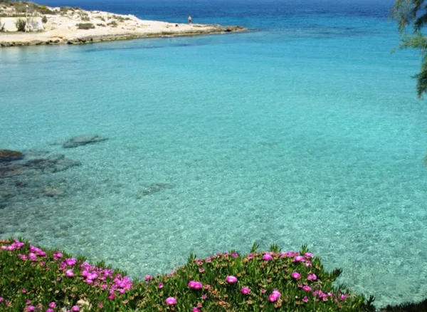 Spring! The gorgeous beach Loutra (Therma) at Souvala, Aigina island, Greece (May 2013).
