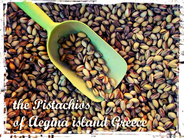 the pistachio as "Aegina pistachio" was secured by the E.U. regulation of 1263/96